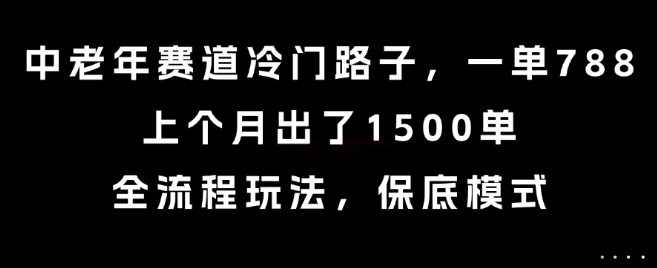 中老年赛道冷门路子，一单788，上个月出了1500单，全流程玩法，保底模式【揭秘】-第一资源库