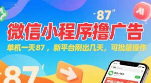 微信小程序看广告，单机一天87，新平台刚出几天，可批量操作，日入5张-第一资源库