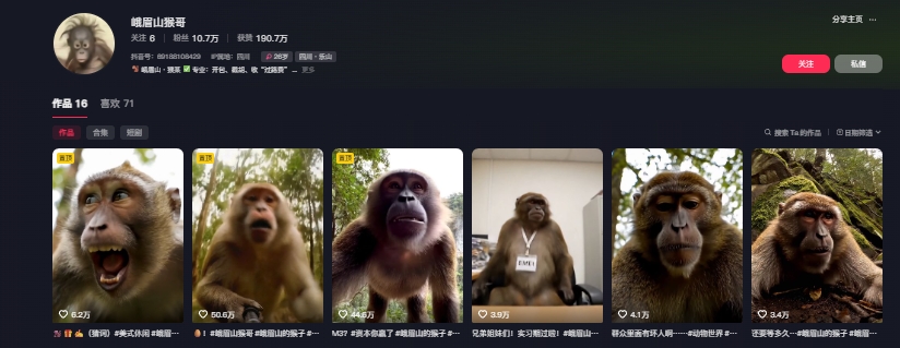 最新爆火的峨眉山猴子短视频制作教程，条条点赞10w+，谁做谁火【教程+提示词】-第一资源库
