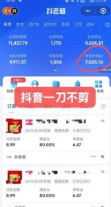 抖音短视频一刀不剪带货，不剪辑，不直播，每天发个视频，等着出单获取带货佣金-第一资源库