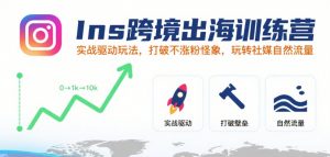 Ins跨境出海训练营，实战驱动玩法，打破不涨粉怪象，玩转社媒自然流量-第一资源库