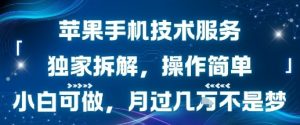 苹果手机技术服务，独家拆解，操作简单，小白可做，月过1W不是梦-第一资源库