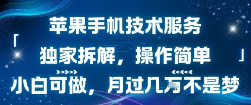 苹果手机技术服务，独家拆解，操作简单，小白可做，月过1W不是梦-第一资源库