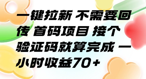 一键拉新 不需要回传 首码项目 接个验证码就算完成 一小时收益70+【揭秘】-第一资源库
