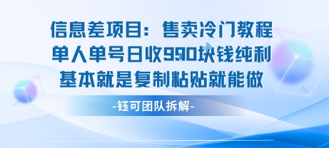 信息差项目：售卖冷门教程单人单号日收9张纯利基本就是复制粘贴就能做-第一资源库