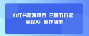 小红书蓝海项目，全程AI，操作简单，已挣五位数-第一资源库