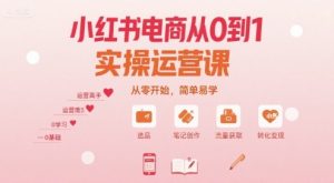 小红书电商从0到1实操运营课，从零开始，简单易学-第一资源库