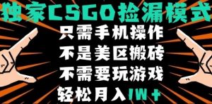CSGO自动捡漏项目,最新独家玩法,不是美区搬砖,不需要了解和玩游戏,新手小白轻松月入1W+【揭秘】-第一资源库
