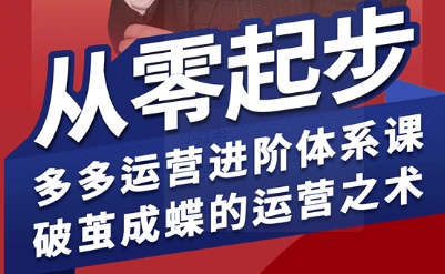 拼多多运营进阶系统课，从零起步，多多运营进阶体系课，破茧成蝶的运营之术-第一资源库