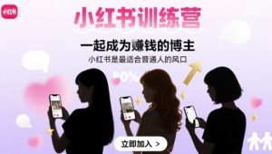 小红书训练营一起成为賺钱的博主，小红书是最适合普通人的风口-第一资源库