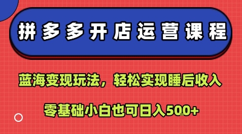 拼多多开店运营课程：蓝海变现玩法，轻松实现睡后收入，零基础小白也可日入5张-第一资源库