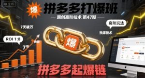 拼多多打爆班原创高阶技术第47期，拼多多起爆链-第一资源库