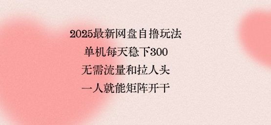 2025最新网盘自撸玩法，单机每天稳下3张，无需流量和拉人头，一个人就可轻松矩阵，全网独一份【揭秘】-第一资源库