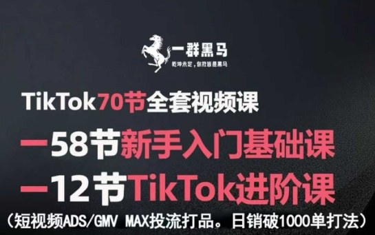TikTok全套视频课，新手入门+进阶课，短视频ADS-GMV MAX投流打品，日销破1000单打法-第一资源库