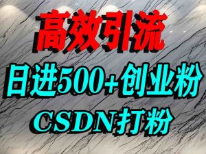怎么打创业粉？CSDN又一个你不知道的打粉引流神秘平台，单人日引500+精准流量-第一资源库