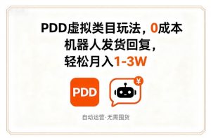 PDD虚拟类目玩法，0成本，机器人发货回复，轻松月入1-3W-第一资源库