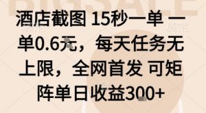 酒店截图15秒一单，一单0.6米，每天任务无上限，全网首发可矩阵单日收益3张【揭秘】-第一资源库
