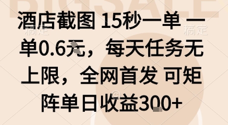 酒店截图15秒一单，一单0.6米，每天任务无上限，全网首发可矩阵单日收益3张【揭秘】-第一资源库