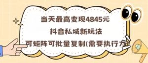 当天最高变现1k+，抖音私域新玩法，可矩阵可批量复制-第一资源库