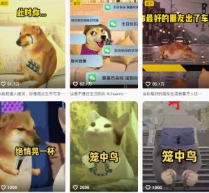 狗头幸运星UE5动画全套课程，从入门到实操全掌握-第一资源库