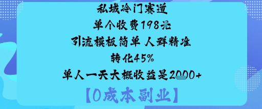 私域冷门赛道:单个收费198米引流模板简单人群精准转化45%单人一天大概收益是1k+-第一资源库