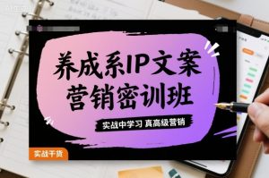 养成系IP文案营销密训班，实战中学习真高级营销-第一资源库
