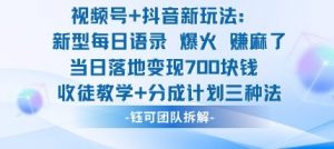 视频号加抖音新玩法：爆火新型每日语录，收徒教学加分成计划，三种变现玩法，当日变现7张-第一资源库