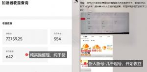 游戏加速器项目4.0_最新打法思路（爱玩游戏也能边玩边被动收益）-第一资源库