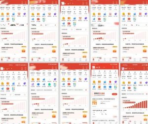 拼多多虚拟电商，门槛低，搬运上架，操作起来简单粗暴，单人单店三位数，可矩阵-第一资源库