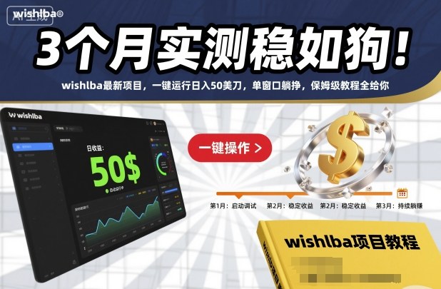3个月实测稳如狗！wishlba最新项目，一键运行日入50美刀，单窗口躺挣，保姆级教程全给你【揭秘】-第一资源库