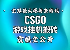 【年底大揭秘】基于全球最火爆的射击CSGO游戏挂G搬砖，日入5张+，震撼公开-第一资源库