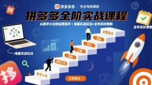 拼多多全阶实战课程，从新手小白到运营高手，海量实战玩法+全年实时更新【2025年10月更新】-第一资源库