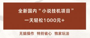 全新国内小说挂G项目，多窗口无脑跑，一天轻松1k+，特别省心【揭秘】-第一资源库