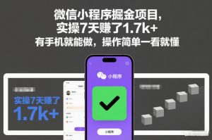 微信小程序掘金项目，实操7天賺了1.7k+，有手机就能做，操作简单一看就懂【揭秘】-第一资源库