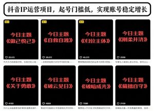 抖音IP运营项目，抖音今日主题玩法，起号门槛低，实现账号稳定增长-第一资源库