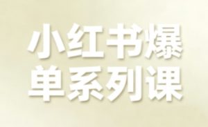 小红书爆单系列课，聚焦小红书电商全链路增长（更新）-第一资源库