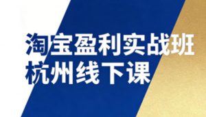 淘宝盈利实战班杭州线下课12月26-28日（音频+字幕），帮你掌握SOP流程+12门核心技术-第一资源库