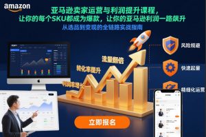 亚马逊卖家运营与利润提升课程，让你的每个SKU都成为爆款，让你的亚马逊利润一路飙升（更新12月）-第一资源库
