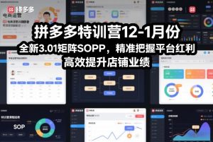 拼多多特训营12-1月份，全新3.01矩阵Sop，精准把握平台红利，高效提升店铺业绩-第一资源库