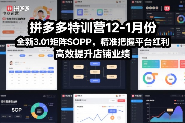 拼多多特训营12-1月份，全新3.01矩阵Sop，精准把握平台红利，高效提升店铺业绩-第一资源库