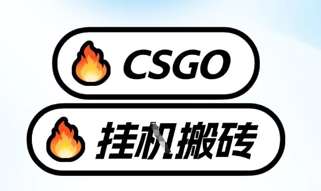 真全网独家CSGO挂G，最新玩法,单日捡漏1K+，不用电脑，不用打游戏【揭秘】-第一资源库