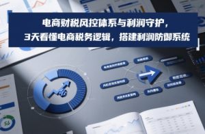 电商财税风控体系与利润守护，3天看懂电商税务逻辑，搭建利润防御系统-第一资源库