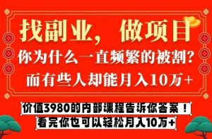 价值3980的网创内部课程，告诉你互联网创业月入10个W的秘密【揭秘】-第一资源库