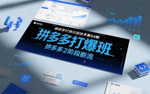 拼多多打爆班原创技术第54期，拼多多2阶段断流-第一资源库