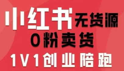 小红书无货源0粉电商课，开店准备、选品策略、笔记撰写、视频剪辑、数据分析、账号打造、资料文档（更新）-第一资源库