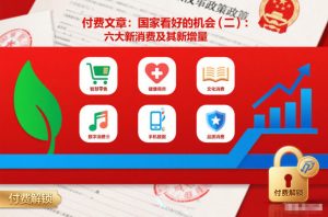 付费文章：国家看好的机会(二)：六大新消费及其新增量-第一资源库