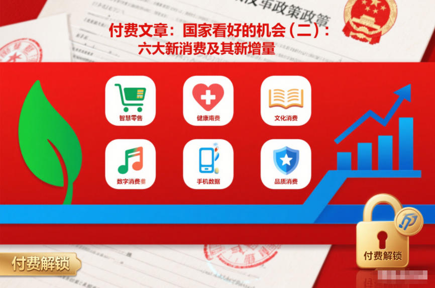 付费文章：国家看好的机会(二)：六大新消费及其新增量-第一资源库