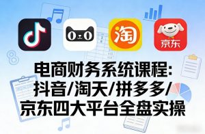 电商财务系统课程,覆盖抖音、淘天、拼多多、京东四大主流平台的全盘实操-第一资源库