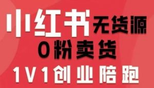 小红书无货源0粉电商课,开店准备、选品策略、笔记撰写、视频剪辑、数据分析、账号打造、资料文档(更新26年2月)-第一资源库