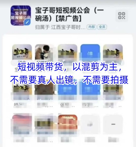 宝子哥头部团队短视频带货，以混剪为主，不需要真人出镜，不需要拍摄【更新26年3月】-第一资源库